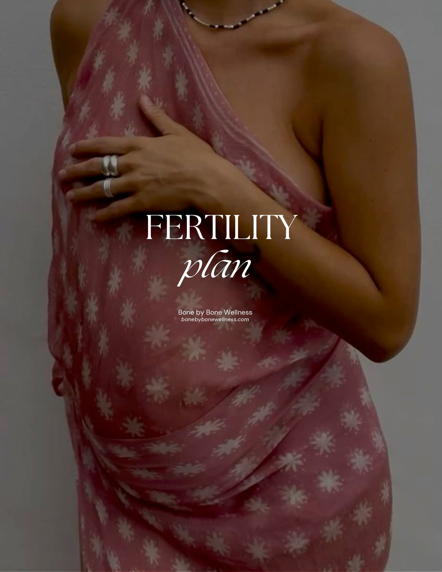 Fertility Support Plan