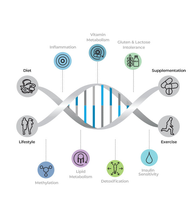 Epigenetics DNA Test - Add on